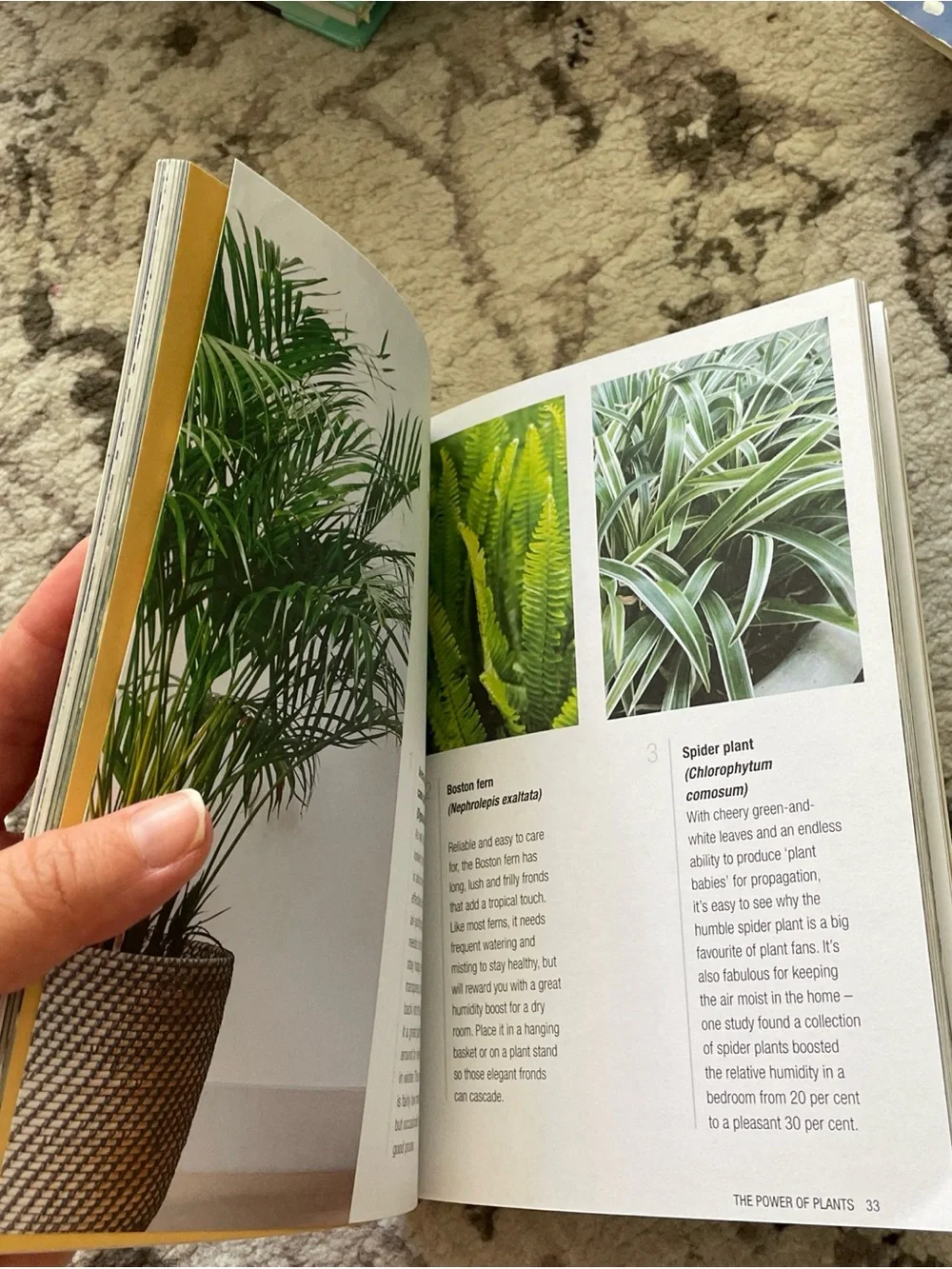 The Power of Plants Book - Navy Blue Cover